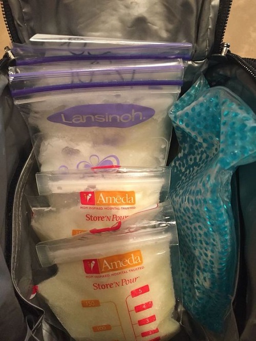 Travel With Breast Milk Without Baby photo