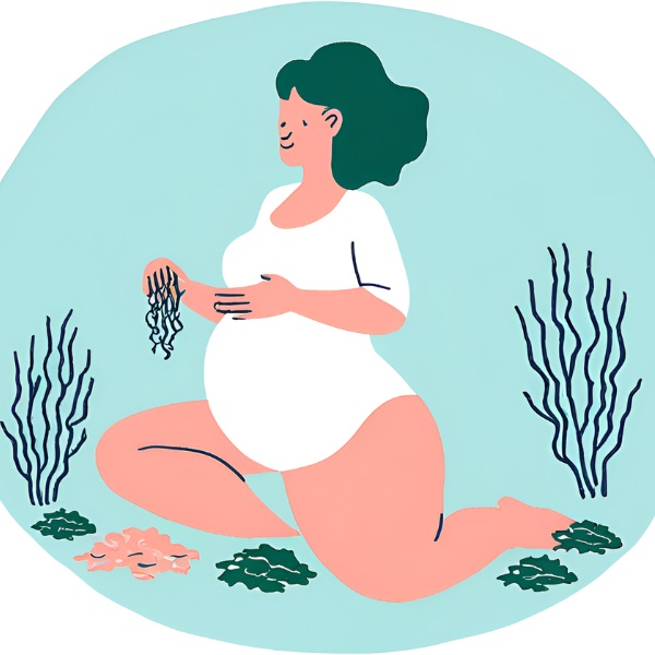 Is Sea Moss Safe During Pregnancy