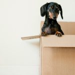 Readying Your New Home Before Moving In