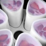 Can I Put French Yogurt Cups In Pressure Cooker