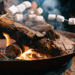 Can You Cook Roast Marshmallows On Propane Stove