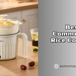 best commercial rice cookers