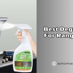 best degreasers for range hood