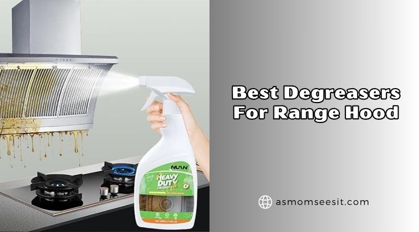 You are currently viewing The 8 Best Degreasers For Range Hood 2026, According to Experts