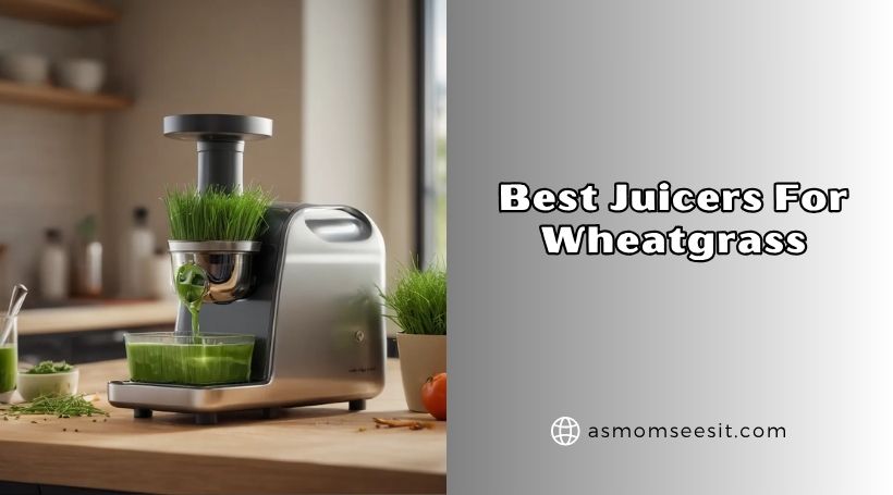 You are currently viewing Our 8 Best Juicers For Wheatgrass (2026), Tested and Reviewed