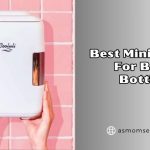 best mini fridge for baby bottles