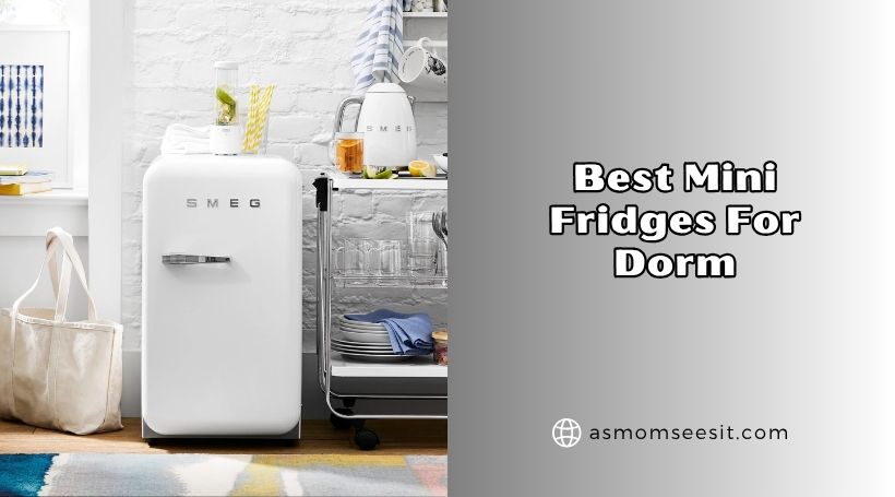 You are currently viewing Top 8 Best Mini Fridges For Dorm 2026: Top Picks