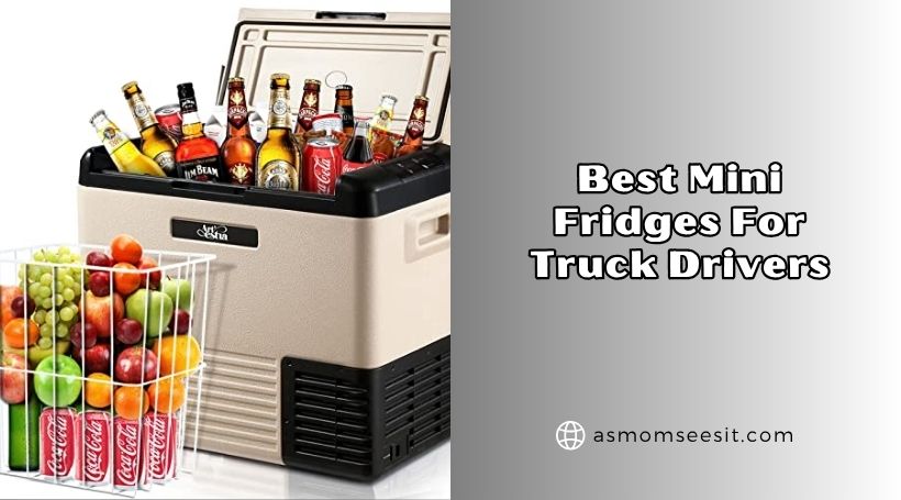 You are currently viewing The 8 Best Mini Fridges For Truck Drivers In 2026 – Reviews And Guide