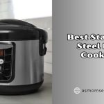 best stainless steel rice cookers