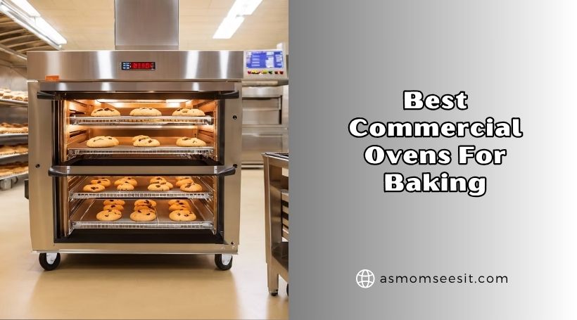 You are currently viewing 8 Best Commercial Ovens For Baking To Buy In 2026
