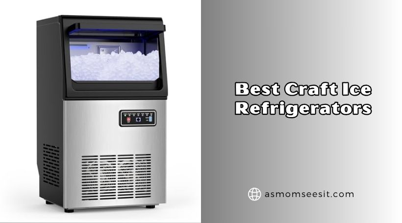 best craft ice refrigerators