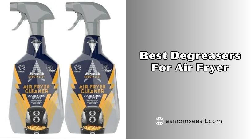 You are currently viewing Top 8 Best Degreasers For Air Fryer 2026, According to Experts