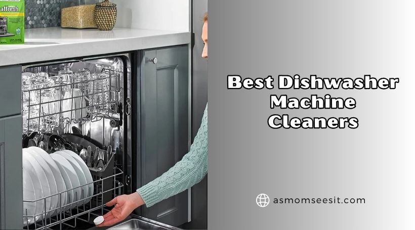 best dishwasher machine cleaners