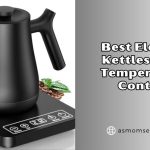 best electric kettles with temperature control