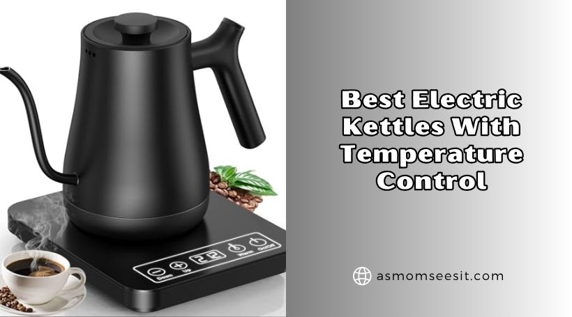 You are currently viewing The 8 Best Electric Kettles With Temperature Control 2026: Top Picks