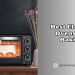 best electric ovens for baking