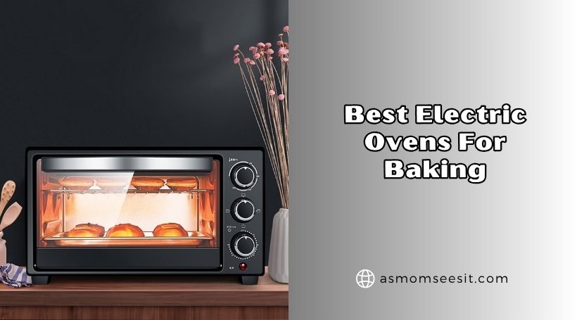 You are currently viewing The 8 Best Electric Ovens For Baking 2026, According to Experts