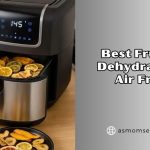 best fruit to dehydrates in air fryer