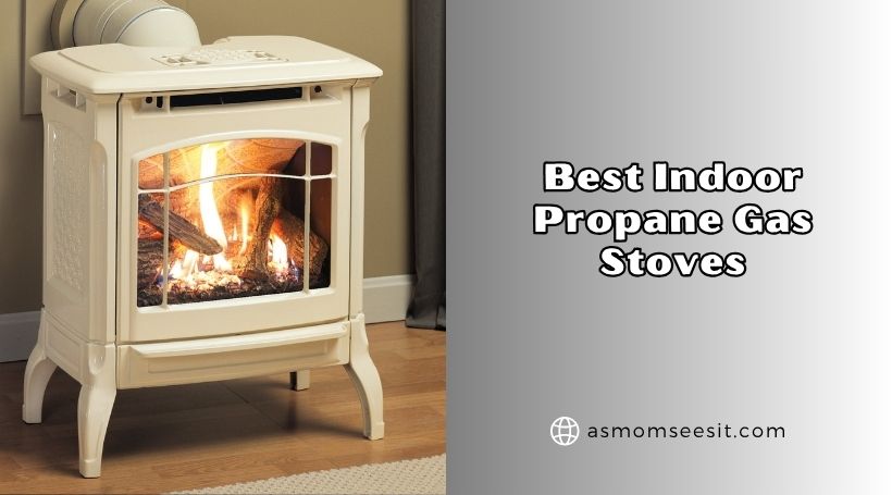 You are currently viewing Top 8 Best Indoor Propane Gas Stoves – Top Picks Of 2026